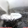 16_15-nest.jpg