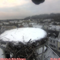 08_30-nest.jpg