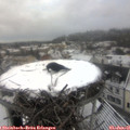08_40-nest.jpg