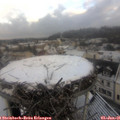 09_00-nest.jpg