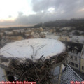 09_05-nest.jpg