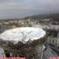 09_40-nest.jpg
