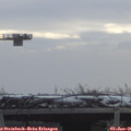 09_50-mast.jpg