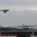 09_55-mast.jpg