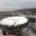 09_55-nest.jpg