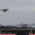 10_00-mast.jpg