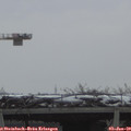 10_10-mast.jpg