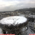 10_10-nest.jpg