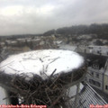 10_15-nest.jpg