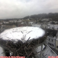 10_25-nest.jpg