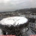 10_30-nest.jpg