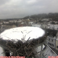 10_35-nest.jpg