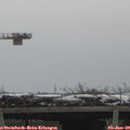 10_40-mast.jpg