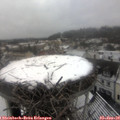 10_45-nest.jpg