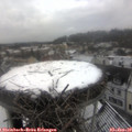 10_55-nest.jpg