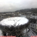 11_05-nest.jpg