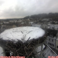 11_25-nest.jpg