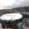 11_30-nest.jpg