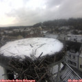 11_35-nest.jpg