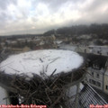 11_40-nest.jpg