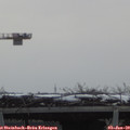 11_50-mast.jpg