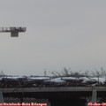 11_55-mast.jpg