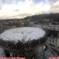11_55-nest.jpg