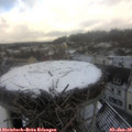 12_00-nest.jpg