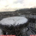 12_05-nest.jpg