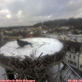 12_10-nest.jpg