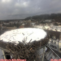 12_25-nest.jpg