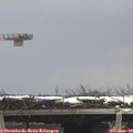 12_30-mast.jpg