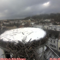 12_30-nest.jpg