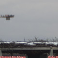 12_40-mast.jpg