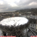 12_40-nest.jpg