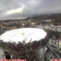 12_45-nest.jpg
