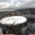 12_55-nest.jpg