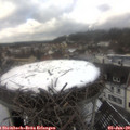 13_10-nest.jpg
