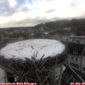 13_15-nest.jpg
