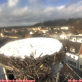 13_20-nest.jpg