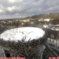 13_25-nest.jpg