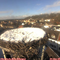13_40-nest.jpg