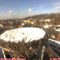 13_45-nest.jpg