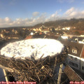 13_50-nest.jpg