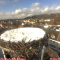 13_55-nest.jpg