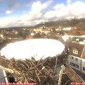 14_00-nest.jpg