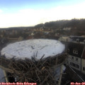 14_05-nest.jpg
