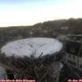 14_10-nest.jpg