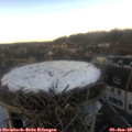 14_15-nest.jpg