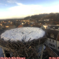 14_20-nest.jpg